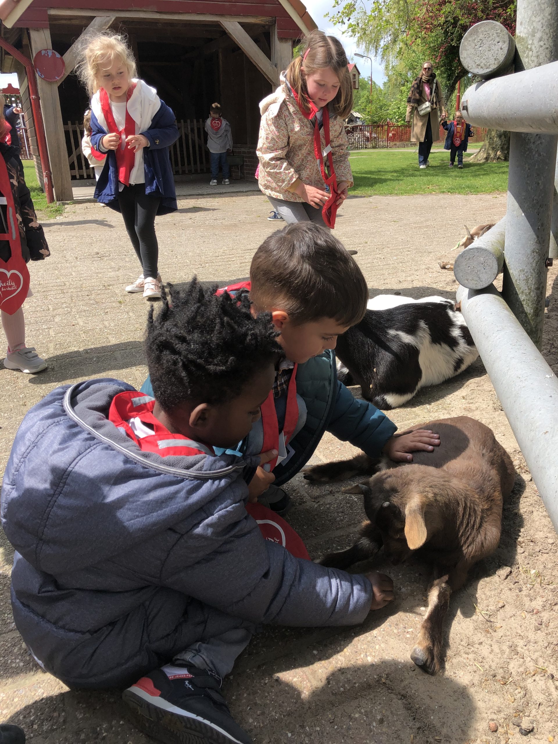 Schoolreis naar het Krekeltje
